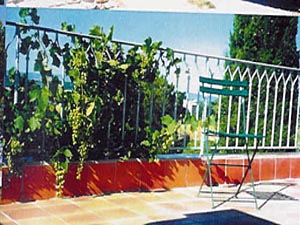 South France 4 Bedrooms - Maison de Village accommodation other photo 44