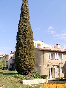 South France 4 Bedrooms - Maison de Village accommodation other photo 49