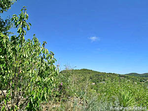 S&uuml;dfrankreich - Provence - Luberon - 5 Zimmer - Triplex - Maison de Village ferienwohnung - andere (PR-108) photo 24 von 30