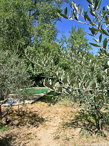 S&uuml;dfrankreich - Provence - Luberon - 5 Zimmer - Triplex - Maison de Village ferienwohnung - andere (PR-108) photo 25 von 30