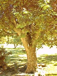 South France - Alpilles - 3 Bedroom - Mas accommodation - bedroom 1 (PR-124) photo 5 of 5