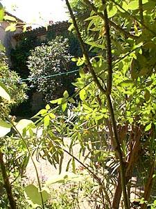 South France - Provence Luberon - 4 Bedroom - Maison de Village accommodation bed breakfast - other (PR-154) photo 3 of 17