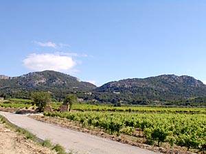 South France - Provence Luberon - 4 Bedroom - Maison de Village accommodation bed breakfast - other (PR-154) photo 16 of 17