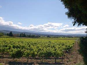 South France - Provence Luberon - 4 Bedroom - Maison de Village accommodation bed breakfast - other (PR-154) photo 17 of 17