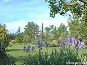 South France - Avignon Region - 3 Bedroom - Mas accommodation bed breakfast - other (PR-158) photo 11 of 20