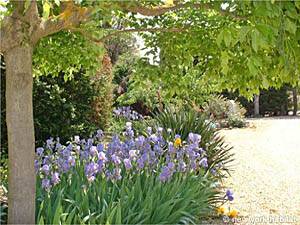 South France - Avignon Region - 3 Bedroom - Mas accommodation bed breakfast - other (PR-158) photo 12 of 20