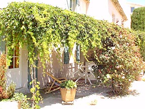 Sud della Francia - Regione di Avignone - 4 Camere - Mas affitto bed breakfast - altro (PR-165) photo 23 di 32