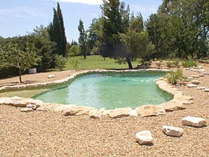Sud della Francia - Regione di Avignone - 4 Camere - Mas affitto bed breakfast - altro (PR-165) photo 24 di 32