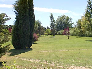 Sud della Francia - Regione di Avignone - 4 Camere - Mas affitto bed breakfast - altro (PR-165) photo 27 di 32