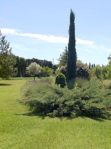 Sud della Francia - Regione di Avignone - 4 Camere - Mas affitto bed breakfast - altro (PR-165) photo 31 di 32