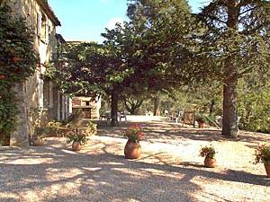 Sud della Francia - Var Superiore - 5 Camere - Mas appartamento casa vacanze - altro (PR-185) photo 9 di 13