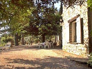 Sud della Francia - Var Superiore - 5 Camere - Mas appartamento casa vacanze - altro (PR-185) photo 10 di 13