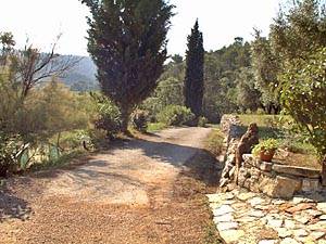 Sud della Francia - Var Superiore - 5 Camere - Mas appartamento casa vacanze - altro (PR-185) photo 11 di 13
