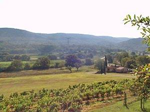 Sud della Francia - Var Superiore - 5 Camere - Mas appartamento casa vacanze - altro (PR-185) photo 12 di 13