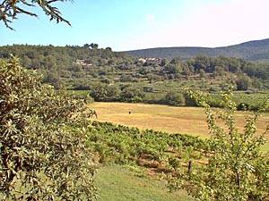 Sud della Francia - Var Superiore - 5 Camere - Mas appartamento casa vacanze - altro (PR-185) photo 13 di 13