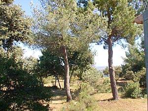 South France - Aix en Provence - Marseilles - Studio accommodation - other (PR-195) photo 4 of 12