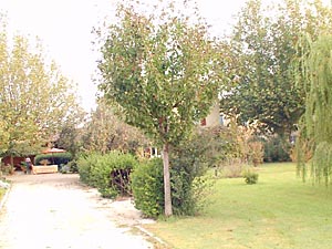 Sud de la France - Avignon et sa r&eacute;gion - T4 - Mas appartements location vacances - autre (PR-231) photo 22 de 24