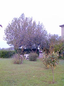 Sud de la France - Avignon et sa r&eacute;gion - T4 - Mas appartements location vacances - autre (PR-231) photo 24 de 24