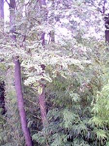 South France - Aix en Provence - Marseilles - Studio - Villa accommodation - other (PR-232) photo 1 of 5
