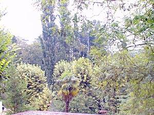 South France - Aix en Provence - Marseilles - Studio - Villa accommodation - other (PR-232) photo 3 of 5