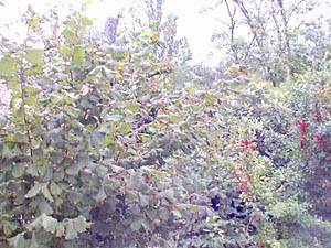 South France - Aix en Provence - Marseilles - Studio - Villa accommodation - other (PR-232) photo 5 of 5
