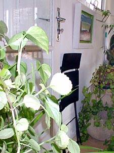 Sud de la France T3 - Duplex appartements location vacances chambre 2 photo 25