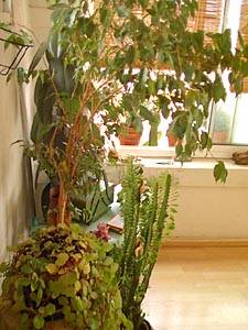 Sud de la France T3 - Duplex appartements location vacances autre photo 34