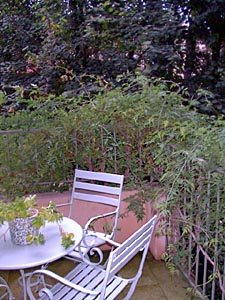 Sur de Francia - Aix en Provence - Marsella - 2 Dormitorios alojamiento, bed and breakfast - otras (PR-279) photo 9 de 12