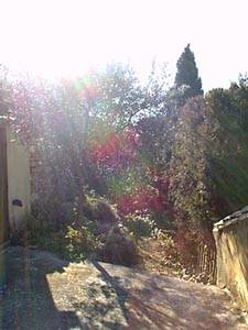 Sud de la France - Avignon et sa r&eacute;gion - T3 appartements location vacances - autre (PR-314) photo 9 de 13