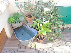 S&uuml;dfrankreich 5 Zimmer - Maison de Village wohnung bed breakfast - andere (PR-325) photo 3 von 10