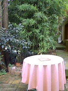S&uuml;dfrankreich - Aix en Provence - Marseille - Studiowohnung - Villa wohnungsvermietung - Wohnungsnummer PR-336
