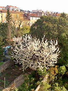 South France 2 Bedrooms accommodation bedroom 2 photo 54