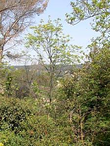 S&uuml;dfrankreich - Aix en Provence - Marseille - 7 Zimmer - Villa ferienwohnung - andere (PR-359) photo 15 von 22