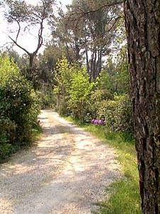 S&uuml;dfrankreich - Aix en Provence - Marseille - 7 Zimmer - Villa ferienwohnung - andere (PR-359) photo 18 von 22