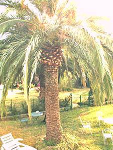 S&uuml;dfrankreich - C&ocirc;te d'Azur - 4 Zimmer - Villa ferienwohnung - andere (PR-399) photo 2 von 13