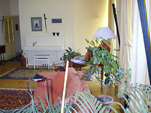 Sur de Francia 2 Dormitorios - D&uacute;plex alojamiento - sala 1 (PR-419) photo 10 de 10