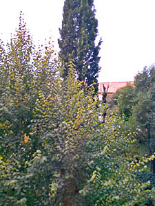 Sur de Francia 2 Dormitorios - D&uacute;plex alojamiento - dormitorio 1 (PR-419) photo 7 de 9
