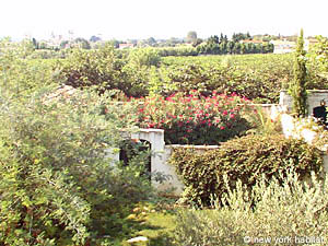 Sud de la France - Avignon et sa r&eacute;gion - Studio/T1 - Bungalow appartements location vacances - autre (PR-454) photo 4 de 6