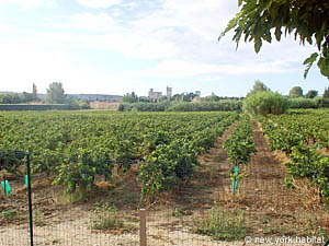 Sud de la France - Avignon et sa r&eacute;gion - Studio/T1 - Bungalow appartements location vacances - autre (PR-454) photo 5 de 6