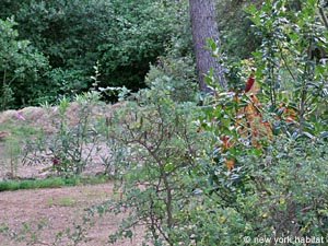 Sud della Francia 4 Camere - Villa appartamento altro photo 40