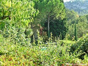 Sud de la France - C&ocirc;te d'Azur - T7 - Villa appartements location vacances - autre (PR-475) photo 11 de 39