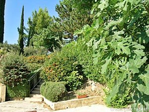 Sud de la France - C&ocirc;te d'Azur - T7 - Villa appartements location vacances - autre (PR-475) photo 27 de 39