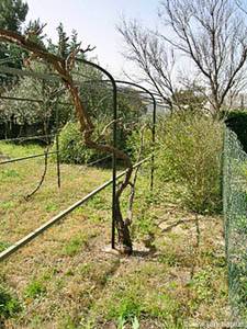 Sud della Francia - Provenza - 2 Camere da letto appartamento casa vacanze - altro (PR-495) photo 2 di 16 Sud della Francia - Provenza - 2 Camere da letto appartamento casa vacanze - altro (PR-495) photo 2 di 16