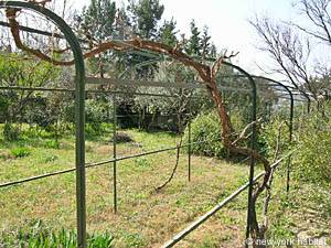 Sud della Francia - Provenza - 2 Camere da letto appartamento casa vacanze - altro (PR-495) photo 3 di 16 Sud della Francia - Provenza - 2 Camere da letto appartamento casa vacanze - altro (PR-495) photo 3 di 16