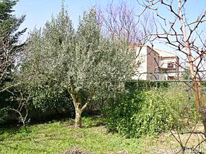 Sud della Francia - Provenza - 2 Camere da letto appartamento casa vacanze - altro (PR-495) photo 5 di 16 Sud della Francia - Provenza - 2 Camere da letto appartamento casa vacanze - altro (PR-495) photo 5 di 16