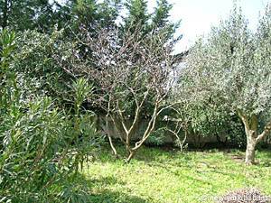 Sud della Francia - Provenza - 2 Camere da letto appartamento casa vacanze - altro (PR-495) photo 6 di 16 Sud della Francia - Provenza - 2 Camere da letto appartamento casa vacanze - altro (PR-495) photo 6 di 16