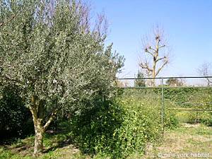 Sud della Francia - Provenza - 2 Camere da letto appartamento casa vacanze - altro (PR-495) photo 7 di 16 Sud della Francia - Provenza - 2 Camere da letto appartamento casa vacanze - altro (PR-495) photo 7 di 16