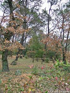 South of France - French Riviera - 2 Bedroom - Maison de Village apartment - other (PR-501) photo 5 of 10