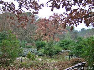 South of France - French Riviera - 2 Bedroom - Maison de Village apartment - other (PR-501) photo 10 of 10