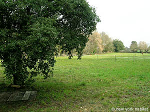 Sud della Francia 2 Camere - Casa di campagna appartamento casa vacanze altro photo 51